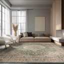 Area Rug Non Slip Machine Washable Ultra Soft Living Room/Bedroom/Kitchen/Outdoor/Classroom Celadon, 8'10'