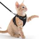 rabbitgoo Cat Harness and Leash for Walking, Escape Proof Soft Adjustable Vest Harnesses for Cats, Easy Control Breathable Reflective Strips Jacket, Black, XXS