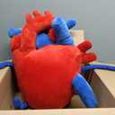 Jumbo 20" Anatomical Heart Plush - Extra Large Human Heart Stuffed Animal & Huggable Pillow - Perfect Open Heart Surgery Recovery Gifts, Cardiology Gifts, and Emotional Support Plush Anatomy Doll