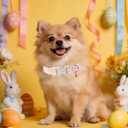 Easter Day Dog Collar, UP URARA PUP Easter Bunny Adjustable Pet Collar with Quick Release, Colorful Rabbits Dog Collars for Small Medium Large Dogs (XS, EasterCarrot&Bow CC)