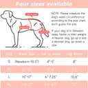 Washable Female Dog Diapers (4 Pack+1 Suspenders), Reusable Female Girl Doggy Doggie Puppy Wraps Panties Belly Band for Pet Heat Period Pooping Peeing Potty Training Incontinence Marking, XLarge