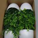 Der Rose Faux Plants Indoor, 4 Pack Small Fake Plants Mini Artificial Plants in Pots for Home Office Shelf Farmhouse Bathroom Decor