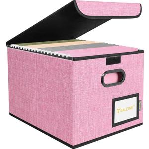 BALEINE File Organizer Box with Lid, Collapsible File Folder Organizer with Plastic Slide, Hanging File Folder Box for Office Document Storage (1 Pack, Pink)