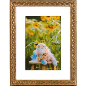 Frametory, 12x16 Ornate Photo Frame With White Color Mat for 8x12 Picture & Real Glass, Bronze