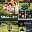GIGALUMI Solar Lights Outdoor for Garden Decor, 3 Pack Solar Flower Lights Waterproof, 2 Lighting Modes 9 Roses for Pathway,Yard, Patio Decoration, Gardening Gifts for Women (Multi-Colored)