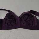 Playtex Women's Wireless Bra, Full Coverage, Smoothing, 4693, Single or 2-Pack (40C, Plum Majestic)