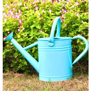 1 Gallon Metal Watering Can Outdoor, Flower Plant Gardening Garden Large Watering Can Pot,  Handles and Removable Spray Spout, Blue