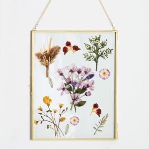 Glass Hanging Picture Frame, 10.8x14 Gold Double for Pressed Flowers, Clear DIY Vintage Artwork Display with Chain, Floating Style Gallery Mounted Photos