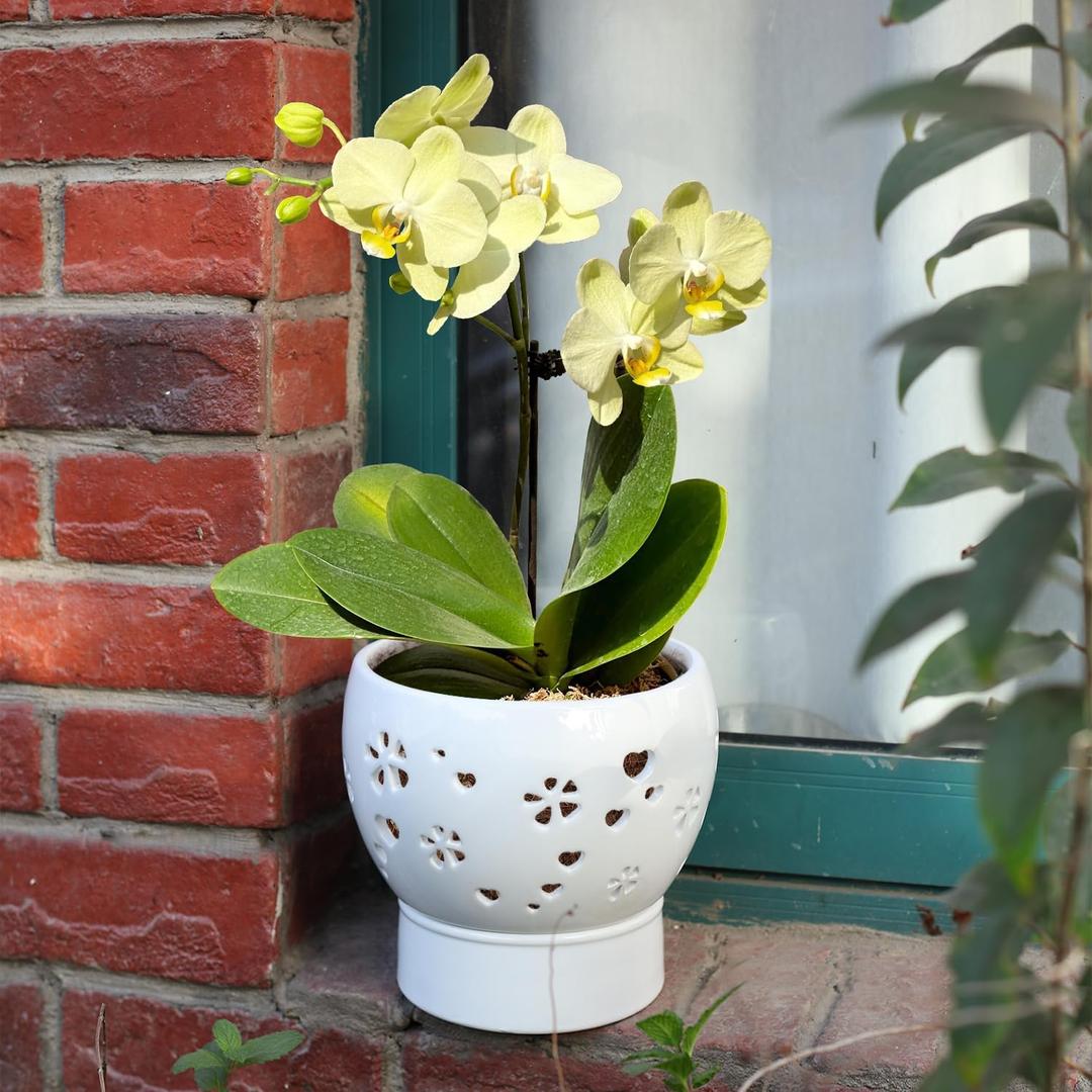  Orchid Pots with Holes Self Watering Ceramic Orchid Pot 7.7 Inch White Breathable Slotted Pot for Orchid Root Air Circulation Orchid Planting Machine with Drainage