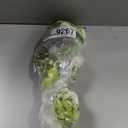 Floweroyal 4 Bunches Peony Artificial Flowers Green Flowers Silk Peonies Bouquets for Wedding Party Table Centerpieces Floral Arrangement Home Kitchen Decor