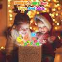 3Pcs Color Sorting Sensory Toys for Kids with Autism Toddler Toys for Airplane Travel Road Trip Preschool Montessori Toys Fine Motor Skills Christmas Stocking Stuffer Gift for Boys Girls C