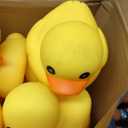 Deekin 20 Pcs Large Yellow Rubber Ducks Bulk Large Duck Squeak Rubber Bathtub Floating Bath for Birthday Party Decoration Gift Swimming Pool (5 Inch)