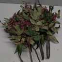 Zeyune 3 Pcs Artificial Dusty Plum Berry Stem 35 Inch Spring Faux Flowers Picks Branches Fake Realistic Sedum Stem Spray for Wedding Holiday Seasonal Farmhouse Mantel Harvest DIY Home Decorations