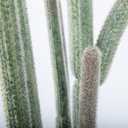 Nafresh Tall UV Resistant Faux Cactus Plant，60in Realistic Texture Tall Fake Plant, Artificial Cactus Large with Black Pot Indoor Outdoor for Home Office Living Room Bedroom Foyer Porch Decor.