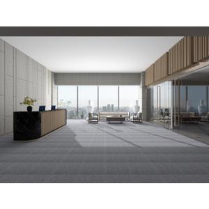 LITA 20" x 20" (50cm x 50cm) Loop Pile, 0.25" Pile Height, 12 Pcs Carpet Tile, Self Adhesive Carpet Floor Peel Tile Square (Light Gray)
