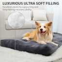 Dog Crate Bed Washable Jumbo Dog Beds for Large Dogs Deluxe Thick Flannel Fluffy Comfy Kennel Pad Anti-Slip & Anti-Scratch Pet Sleeping Mat, 48 x 29 Inch, Gray
