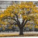 Yellow Tree Canvas Wall Art Vintage Autumn Maple Leaves Picture Fall Nature Poster Contemporary Artwork Modern Home Living Room Decor(Fall-1,16x24inch (40x60cm))