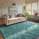 Teal Rug for Bedroom 4x6 Shag Area Rugs, Modern Plush Non-Slip Soft Carpets for Kids Nursery Dorm Daycare Living Room Floor