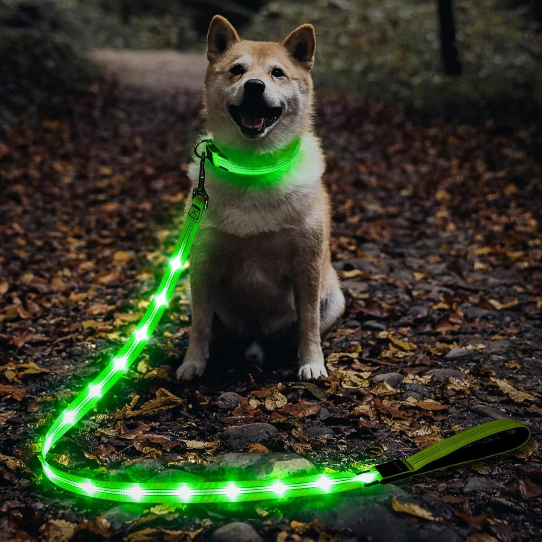 Illumifun LED Dog Leash, USB Rechargeable Glowing Light Up Dog Leash, Nylon Flashing Safety Pet Light for Night Walking (Green)