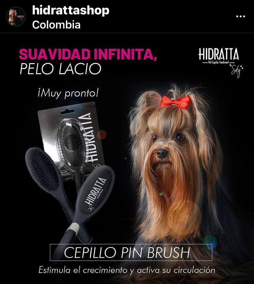 Premium Pet Pin Brush Butter  Comfortable Pin Brush for Dogs & Cats, Long & Short Hair, Stainless Steel Pins, Anti-Tangle Grooming Tool