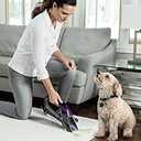 Bissell 2054 Pet Stain Eraser Advanced Cordless Portable Spot and Carpet Cleaner