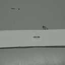 WD22X27724 WD22X33499 Dishwasher Lower Spray Arm Replacement for GE Dishwasher Spray Arm Replaces AP7219298 AP7014276 WD22X26621 WD22X10091 WD22X27724 GDF550PSR3SS GDT530PGP5WW GDT530PSP4SS More