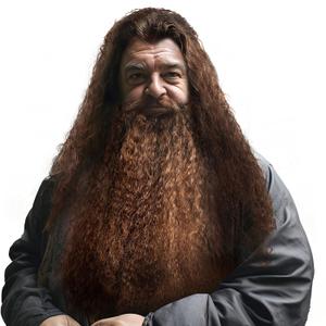 HOMELEX Brown Wizard Beard And Wig - Halloween Funny Father Time Costume Accessory for Adults