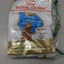 Royal Canin Breed Health Nutrition Poodle Puppy Dry Dog Food, 2.5 lb Bag