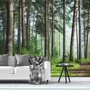 Bormia Forest Landscape Wall Mural - 151x105 WALLPAPER - Fresh Green Trees and Road Wall Decor