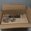 Shop Succulents Rosette Succulent Plant Pack Collection - Live Mini Succulent Plants, Low Maintenance, Floral Shaped Mix of Colors & Textures - Wedding and Party Favors, Gift & Garden, Pack of 32