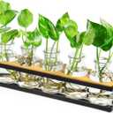 THYGIFTREE Plant Propagation Stations with Metal Stand, Tabletop Plant Terrarium for Propagating Hydroponic, Retro Glass Planter Flower Vase Home Kitchen Office Decor Gifts, 5 Jars (Black  5 Tray)