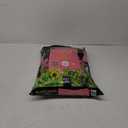 Black Cold Natural & Organic Succulent & Cactus Potting Mix 1 Cu Ft