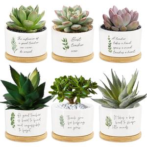 Tarklanda 6Pcs Teacher Appreciation Gifts Succulent Pots Mini Ceramic Plant Pots with Bamboo Tray Green Plants Pots Planters for Best Teacher Thank You for Helping Me Grow Plants Not Included