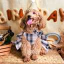 Dog Dress Bowknot Harness Leash Set for Small Dogs Girl Cute Plaid Dog Dress Pearls Bow Tie Spring Summer Princess Clothes Birthday Holiday Doggie Outfits for Puppy Cats Girl Apparel (Red, Small)