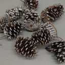 Larber 15pcs Natural Pine Cones Decoration 30CM Pine Cones Ornaments with Stem Pine Cone Picks for Christmas Tree Ornament Vase Party Holiday DIY Craft Home Decoration