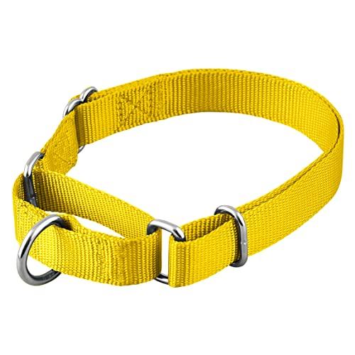 Native Pup Martingale Dog Collar, Adjustable for Small, Medium, Large pet and Puppies Accessories, Cute Colors for Male, Female, Boy, Girl, Puppy (Medium, Bright Yellow)
