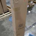 ZINUS 8 Inch Green Tea Essential Memory Foam Mattress [New Version], Queen, Fiberglass Free, Medium Feel, Breathable Airflow Memory Foam, Certified Safe Foams & Fabric, Mattress in A Box (White)