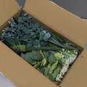 200 Pcs 8 Kinds Mixed Artificial Eucalyptus Stems Bulk Fake Silver Dollar Eucalyptus White Seeds Stems Bundle Faux Plants Greenery for DIY Bouquets Floral Arrangement Wedding Engagement Party Decor