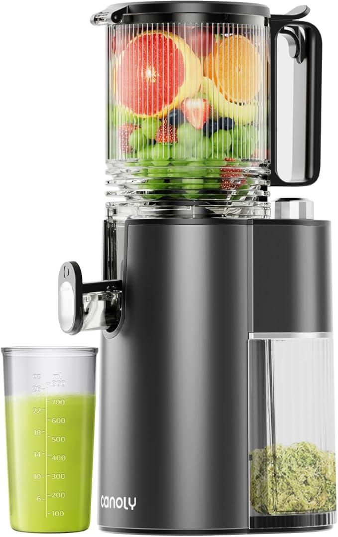 Canoly Slow Cold Press Juicer, Juicer Machines for Home, JE-68
