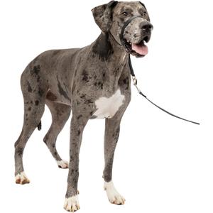 PetSafe Gentle Leader Headcollar No-Pull Dog Collar - Helps Improve Walks - Durable Nylon Construction - Padded Nose Loop - Adjustable Fit - Comfort Walking Halter - X-Large, Black