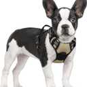 rabbitgoo Dog Harness No Pull with 2 Leash Clips, Adjustable Soft Padded, Reflective Oxford No Choke Pet Vest with Easy Control Handle for Small Dogs, Beige, S