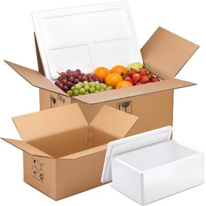 2 Pack Insulated Carton with Foam Shipper 19.3 x 13.4 x 10.2 inches, 16.5 x 10.6 x 7.9 inches Reusable Shipping Box with Foam Panels for Frozen Food Mailing Packing