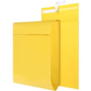 25 Pcs Catalog Envelopes Large Kraft Envelopes 10 x 15 Inches Large Mailing for Office Home Documents Magazines Photos Storage Organizing(Light Brown)