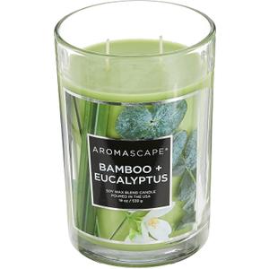 PT41900 2-Wick Scented Jar Candle, Bamboo & Eucalyptus, 19-Ounce, Green (1.18 Pound (Pack of 1))