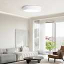 Dimmable LED Flush Mount Close to Ceiling Light Fixture,Living Room Lighting Fixtures,Modern Large Interior Round White Ceiling Lamps for Kitchen Master Bedroom,5CCT 2700K-6000K,15.74 Inch