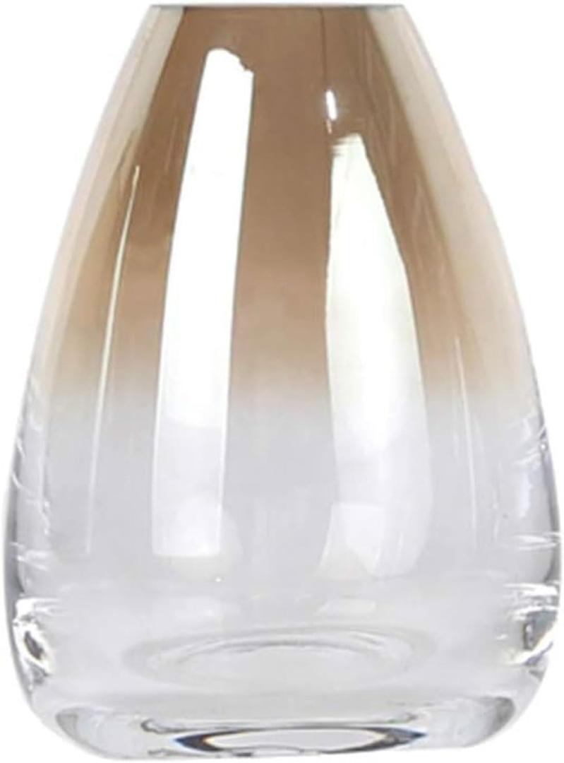 Clear Glass Vase for Decor Modern Mouth Blown Flower Vase w/Thick Bottom Hydroponic Flower Arrangement for Home Table Centerpiece Wedding Living Room Garden