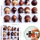 Seashell 1000 Piece Puzzle for Adults, Fun Puzzles with HD Print Poster, 27.5" X 19.7" Dust Free, for Gifts Birthday Holiday Party Family Games Lovers
