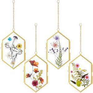 Qunclay 4 Pcs Glass Pressed Flower Frame Hexagon Glass Frame for Pressed Flowers with Chain Double Floating Picture Geometric Wall Decor for Photo Picture Poster in Home Gallery, 4 x 6 in