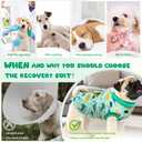Dog Surgery Recovery Suit, Abdominal Surgical Suit for Male Female Dog Post Spay Neuter, Breathable Pet Onesie E-Collar & Cone Alternative, Surgery Shirt to Prevent Licking, Green, Medium