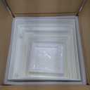 4201-2430 - Capacity : 3 L (0.8 gal.) - LaboPlast Laboratory Trays, Burkle - Each